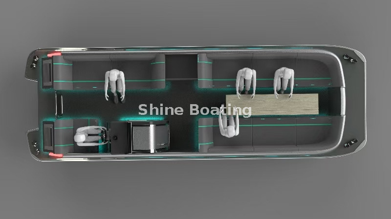 Barco tur&iacute;stico el&eacute;ctrico de 9 m (barco pont&oacute;n) (2)