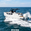 BRILLO SW26